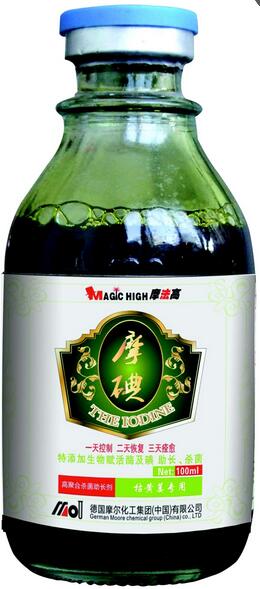 ���Ƅ�(���Sή����)