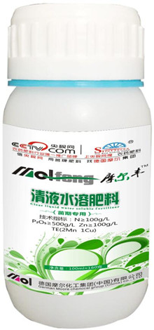 Һ�w����(���ڌ���)