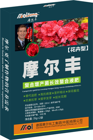 �~���(���܌���)