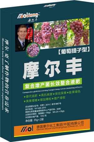 �����~���