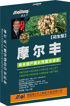 �����~���