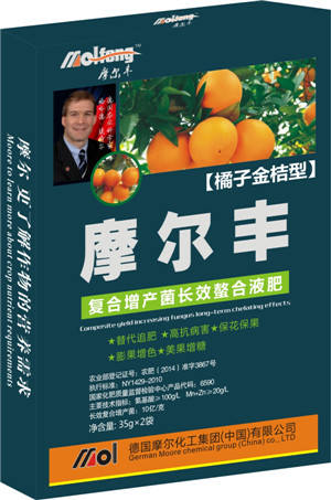 �����~���