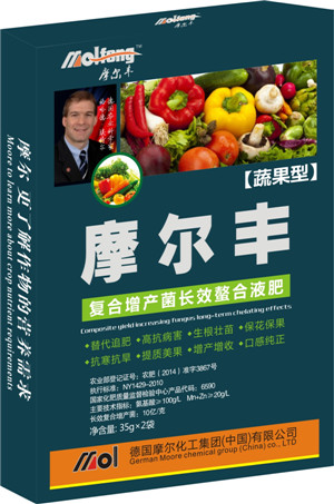 �߹��~���