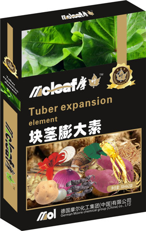 �K�o�����