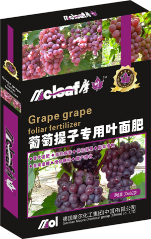 ���������~���