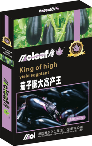 �����~���(�������߮a��)