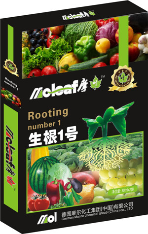 �����~���(����1̖(h��o))