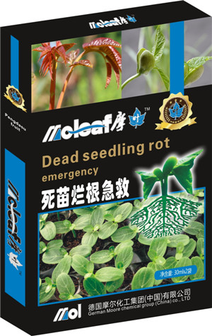 ���砀������