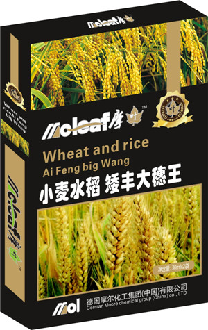 С��ˮ���~���(���S������)