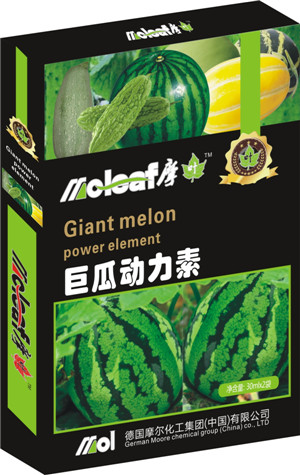 �޹τ�����