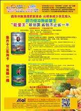 �_ʩ��-����s�_ʩ������