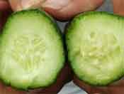 ����Ԫˮ�ܷ�ƽ�������S���ϵ�Ч����ɽ�|��