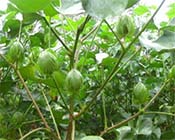 ��������~���,�޻������~���Ч����