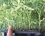 ������������|�е�ˮ�ܷ�Ч���������t���硿