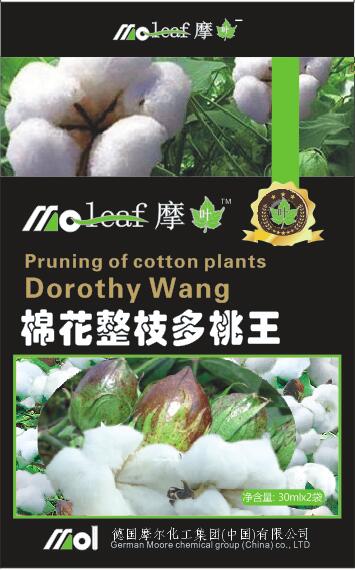 �޻��~���(�޻���֦���ҿ�)