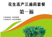 �|���͑�ӆ�������ײͷ�