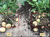 �����ֵ؅^(q��)��������Ħ��ˮ�ܷ�Ч��������