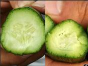 �M��ˮ�ܷ����S�Ϸ���Ч��