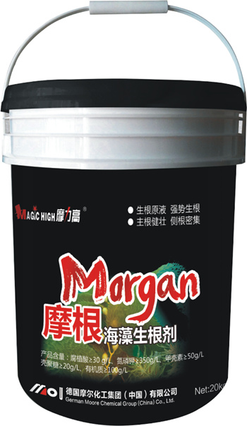 Ħ������������