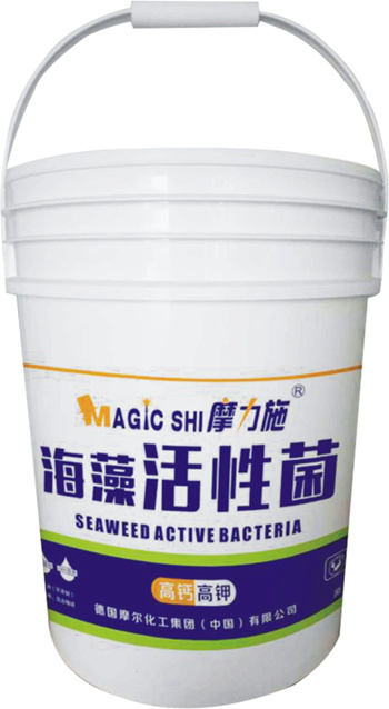 ������Ծ�