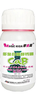 �������Ǵ��}��