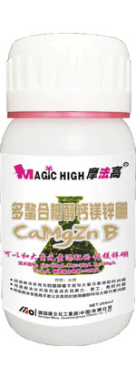 �������Ǵ��}�V�\��