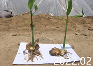 ��׷��ʩˮ�ܷ�Ч������