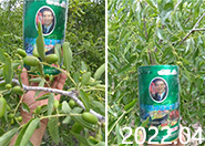 ����׷ʩ����s�_ʩ������