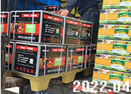 10����������⛰l؛���V�|