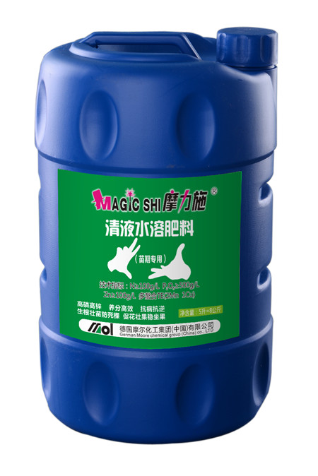 Һ�w����(���ڌ���)