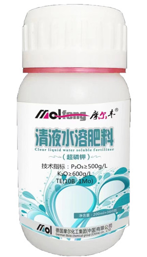 Һ�w����(�����)