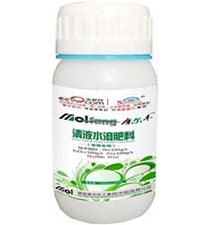 Һ�w����(���ڌ���)