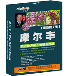 �����~���