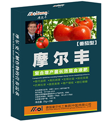 ���t���~���