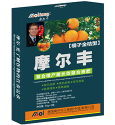 �����~���