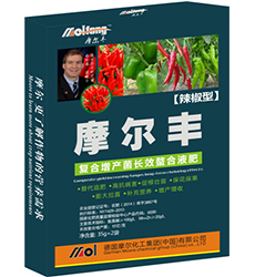 �����~���