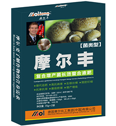 ����~���