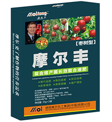 �����~���