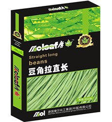 �����~���(������ֱ�L)