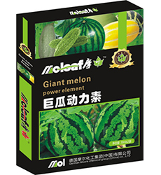 �޹τ�����