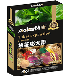 �K�o�����