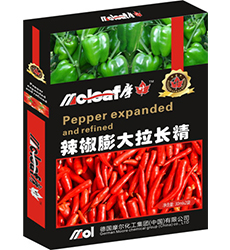 �����~���(����������L��)