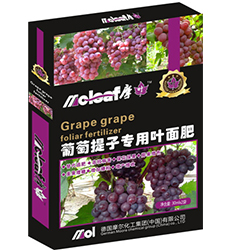 ���������~���