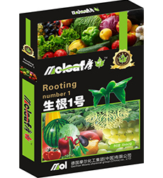 �����~���(����1̖)