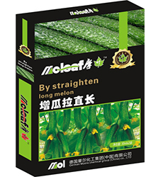 ������ֱ�L