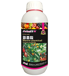 ���������\�F