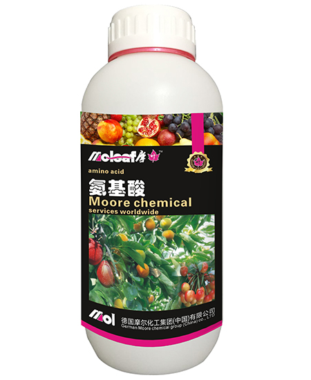 ���������\�F