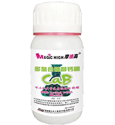 �������Ǵ��}��