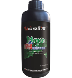 Ħ�����及(qi��ng)��������