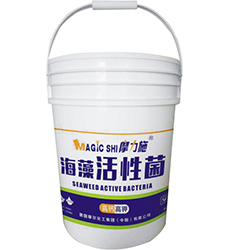 ������Ծ�